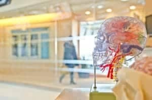drug addiction and the brain
