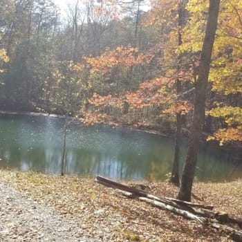 Fishable Pond
