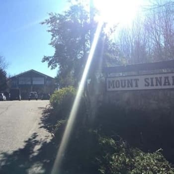 Mt Sinai Grounds