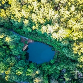 Mt Sinai Wellness Center Private Pond